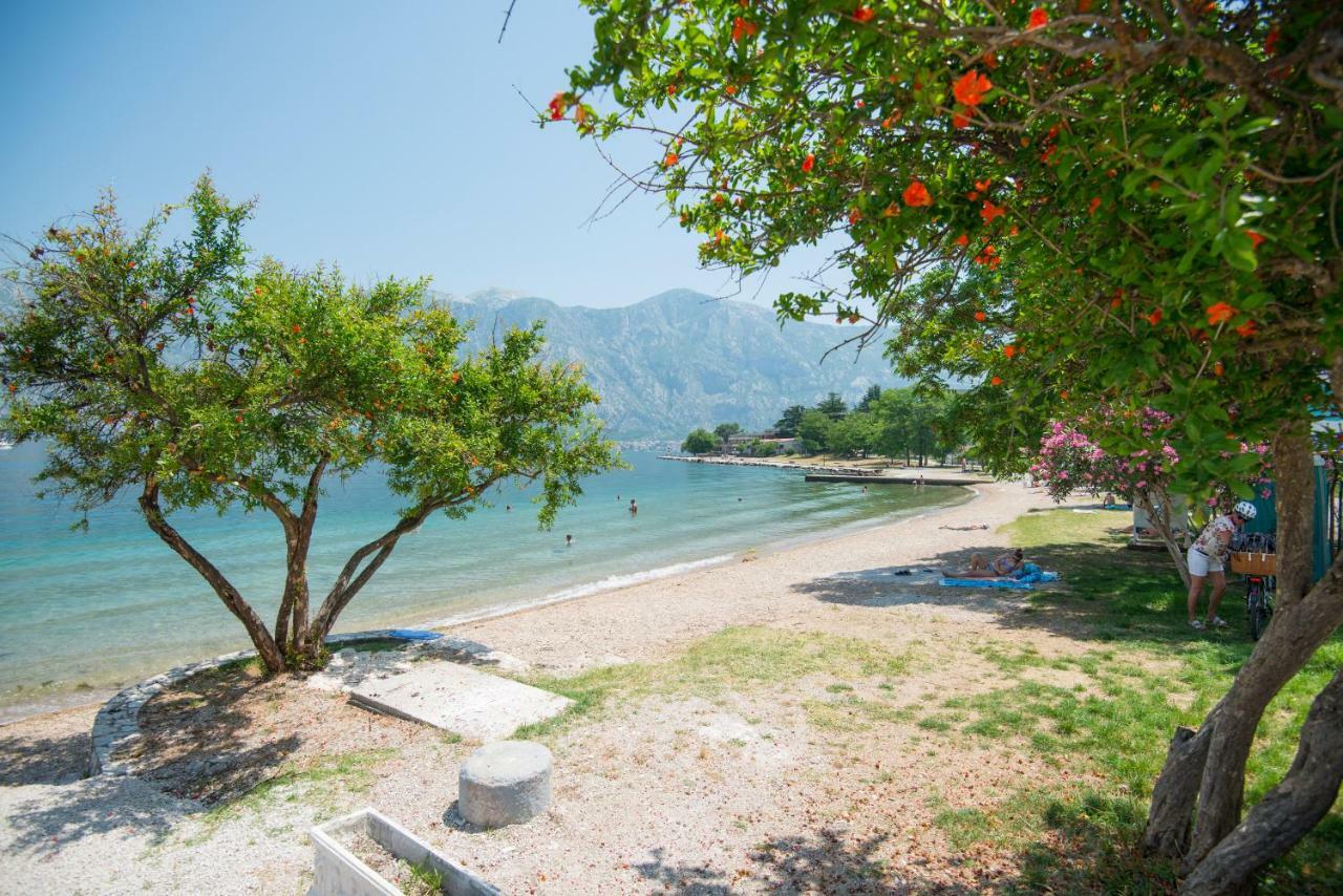 Villa Milami Kotor Ngoại thất bức ảnh